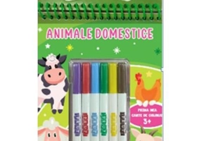 Animale domestice 3+. Cu carioci