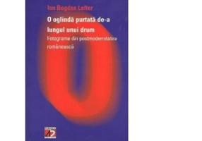 O oglinda purtata de-a lungul unui drum - Ion Bogdan Lefter