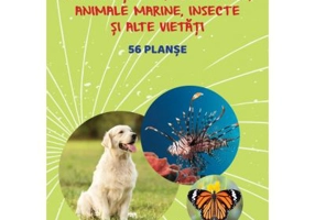Animale si pasari domestice, animale marine, insecte si alte vietati. Planse