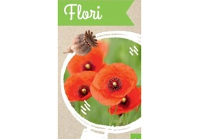 Micul biolog. Flori - Anita van Saan