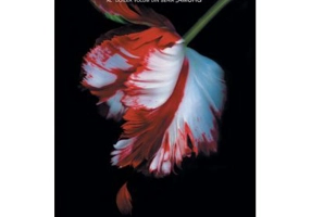 Luna noua - Stephenie Meyer