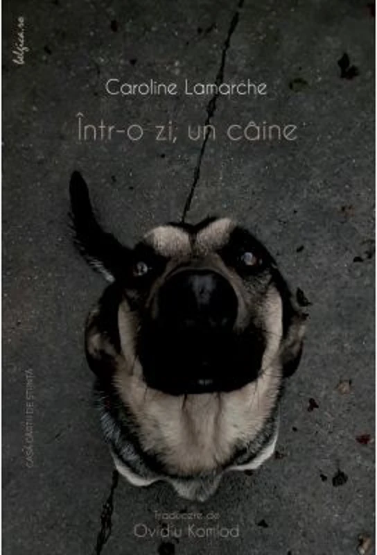 Intr-o zi, un caine - Caroline Lamarche