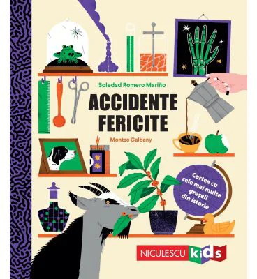 Accidente fericite. Cartea cu cele mai multe greseli din istorie - Soledad Romero Marino, Montse Galbany