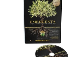 Emergenta. Sapte pasi pentru a-ti schimba radical viata. Audiobook - Derek Rydall