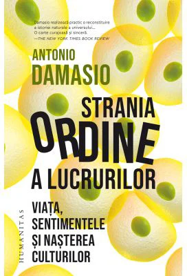 Strania ordine a lucrurilor. Viata, sentimentele si nasterea culturilor - Antonio Damasio