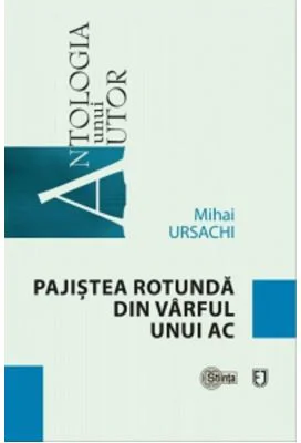 Pajistea rotunda din varful unui ac - Mihai Ursachi