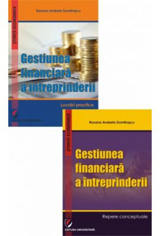 Gestiunea financiara a intreprinderii. Repere conceptuale - Roxana Arabela Dumitrascu