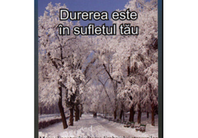 Durerea este in sufletul tau - Al saselea volum din Seria Invata sa te ierti (Luule Viilma)
