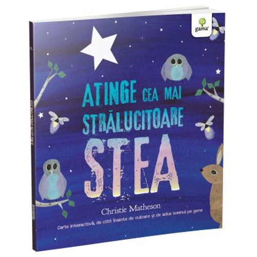 Atinge cea mai stralucitoare stea - Christie Matheson