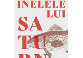 Inelele lui Saturn