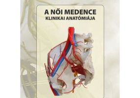 A noi medence. Klinikai anatomiaja - Seres-Sturm Magda, Pap Zsuzsanna