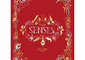 The Senses - Matteo Farinella