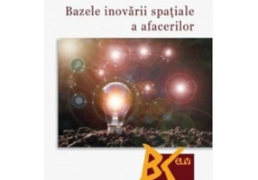Bazele inovarii spatiale a afacerilor - Madalina Maticiuc