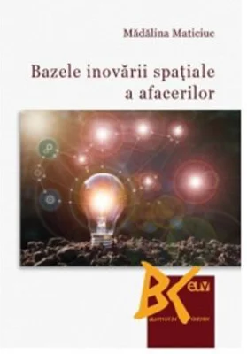 Bazele inovarii spatiale a afacerilor - Madalina Maticiuc