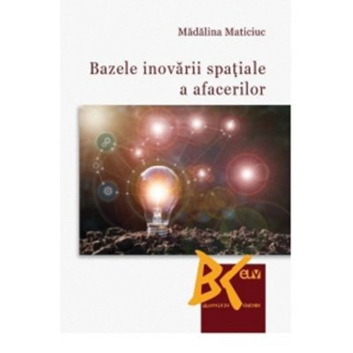 Bazele inovarii spatiale a afacerilor - Madalina Maticiuc