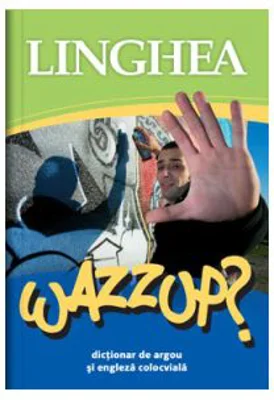Wazzup? Dictionar de argou si engleza colocviala