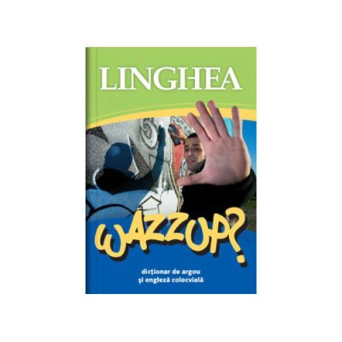 Wazzup? Dictionar de argou si engleza colocviala