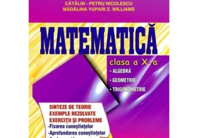 Culegere de exercitii. Matematica, Clasa a 10-a. Sinteze si teorie. Algebra, Geometrie-Trigonometrie - Catalin Petru Nicolescu