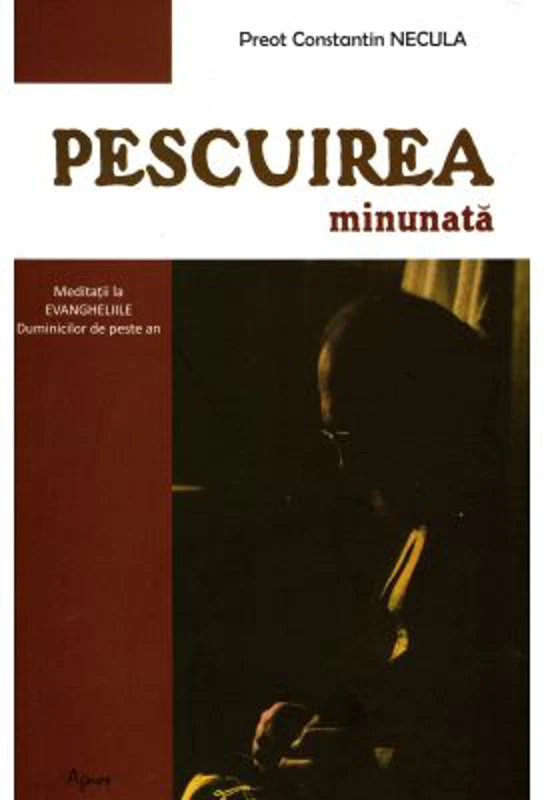 Pescuirea minunata - Constantin Necula