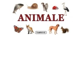 Animale