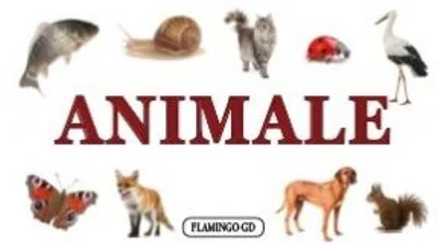 Animale