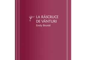 La rascruce de vanturi (vol. 7)