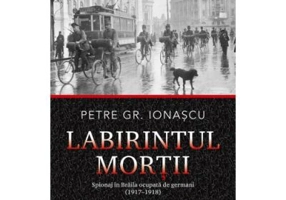 Labirintul mortii - Petre Gr. Ionascu
