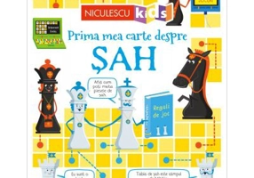 Prima mea carte despre SAH - Katie Daynes