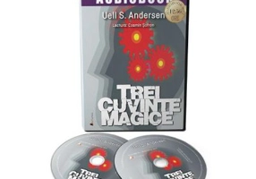 Audiobook. Trei cuvinte magice - Uell S. Andersen