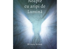 Noapte cu aripi de lumina