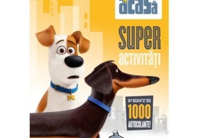 Singuri acasa. Super activitati. Peste 1000 de autocolante