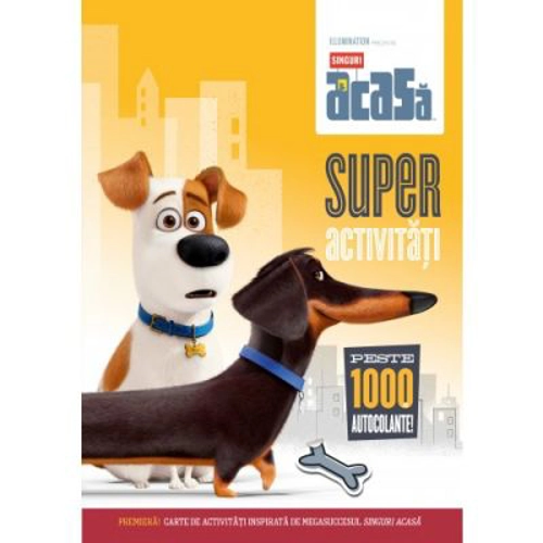 Singuri acasa. Super activitati. Peste 1000 de autocolante