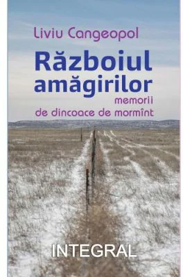 Razboiul amagirilor