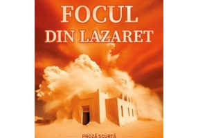 Focul din Lazaret - Vlad Moise