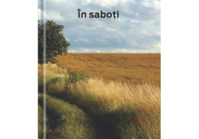 In saboti - Andre Baillon