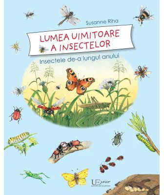 Lumea uimitoare a insectelor