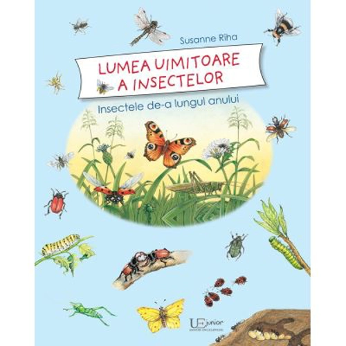 Lumea uimitoare a insectelor