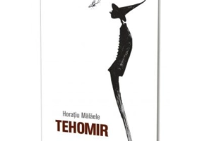Tehomir
