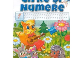 Invat sa scriu. Cifre si numere