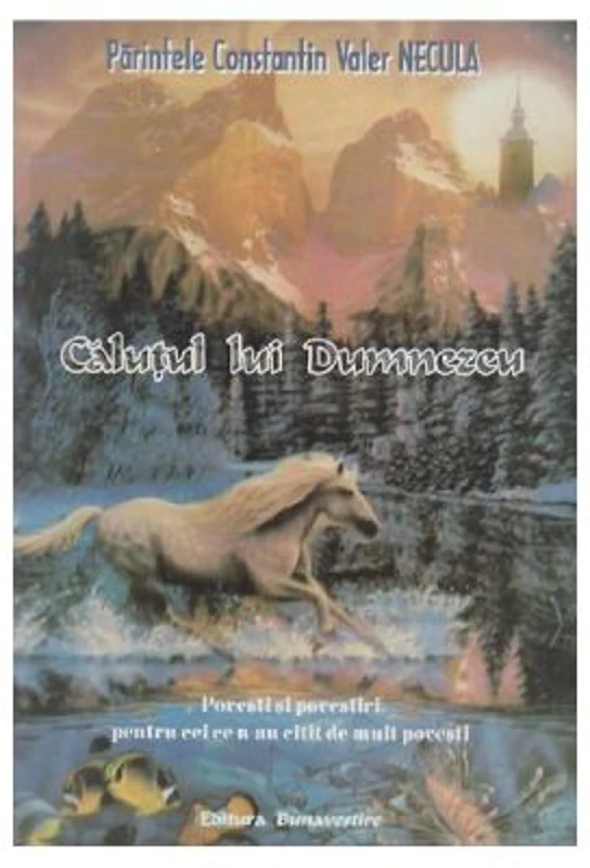 Calutul lui Dumnezeu - Constantin Necula