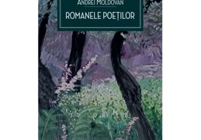 Romanele poetilor - Andrei Moldovan