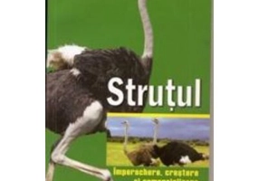 Strutul - Christoph Kistner