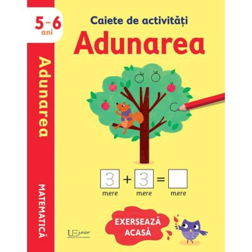 Caiete de activitati. Adunarea 5-6 ani (Usborne)