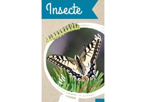 Micul biolog. Insecte - Anita van Saan