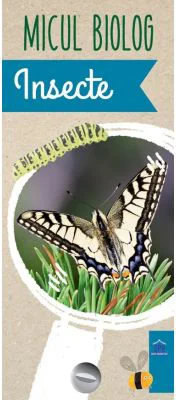 Micul biolog. Insecte - Anita van Saan