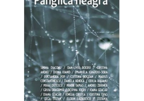 Panglica neagra - Emanuela Ignatoiu Sora