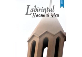 Labirintul haosului meu - Ciprian Vestemean