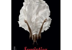 Semiotica. Aveam nevoie de noaptea mea solitara - Paula Barsan