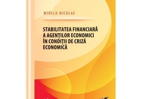 Stabilitatea financiara a agentilor economici in conditii de criza economica - Mirela Niculae