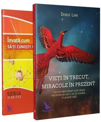 Pachet de carti Denise Linn - Vietile trecute